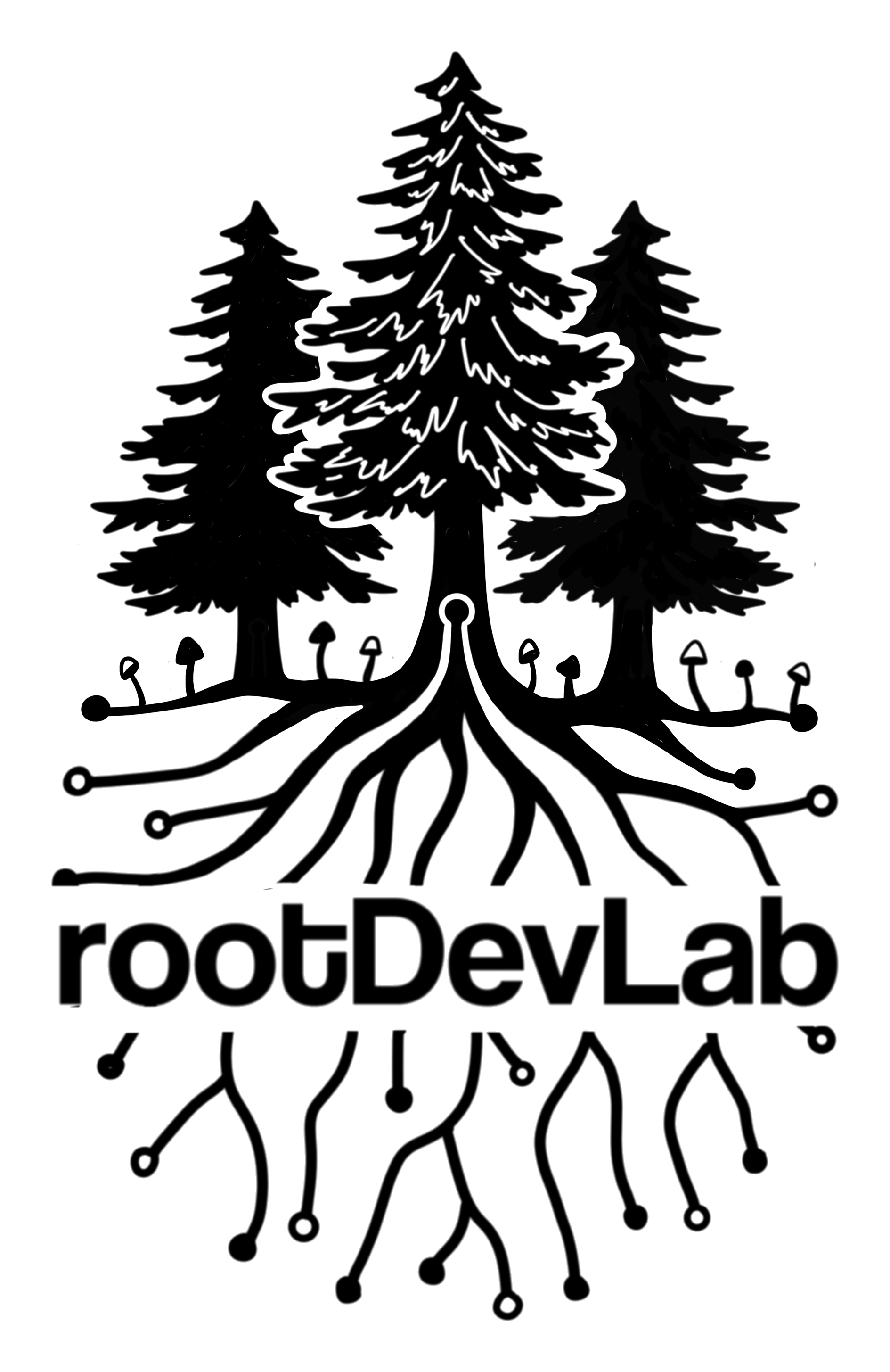 rootDevLab